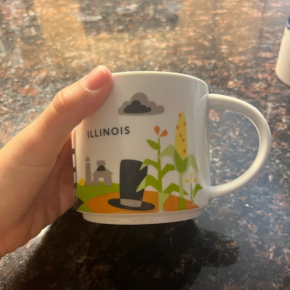 Starbucks Illinois 14oz 2015 Collection Mug collectors coffee cup used state ☕️